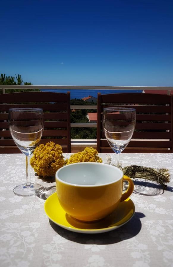 Apartmani Vrancic Mandre Esterno foto